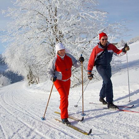 Ahorn Hotel Am Fichtelberg Обервиезентал Екстериор снимка